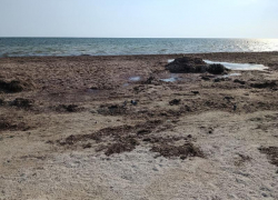 «Курорт или болото?»: жители Скадовска в ужасе от состояния центрального пляжа