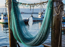 Херсон защитят от дронов при помощи старых французских рыболовных сетей