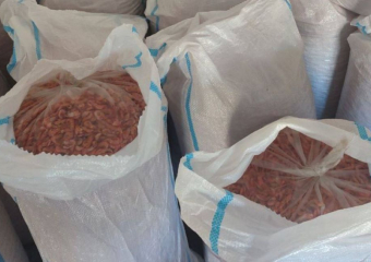 В Херсонской области браконьера приговорили к обязательным работам за ловлю креветки 