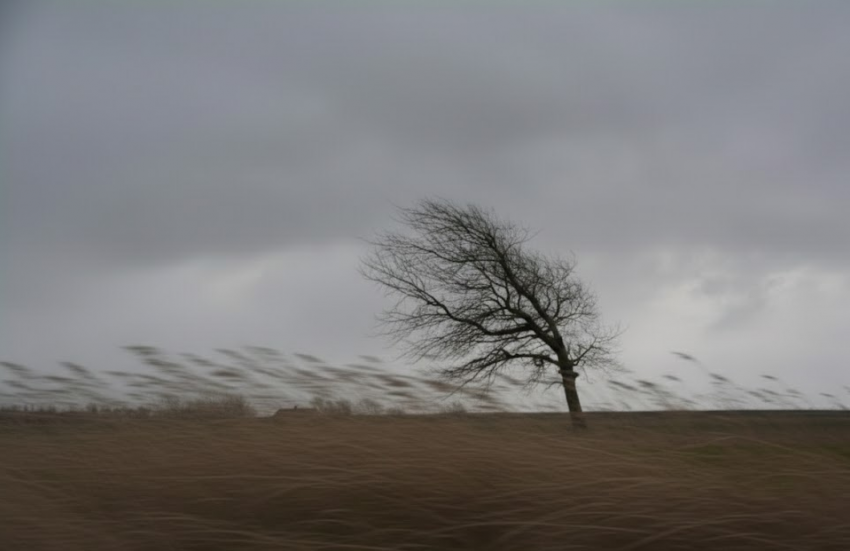 Заморозки и дожди уже завтра накроют Херсонскую область