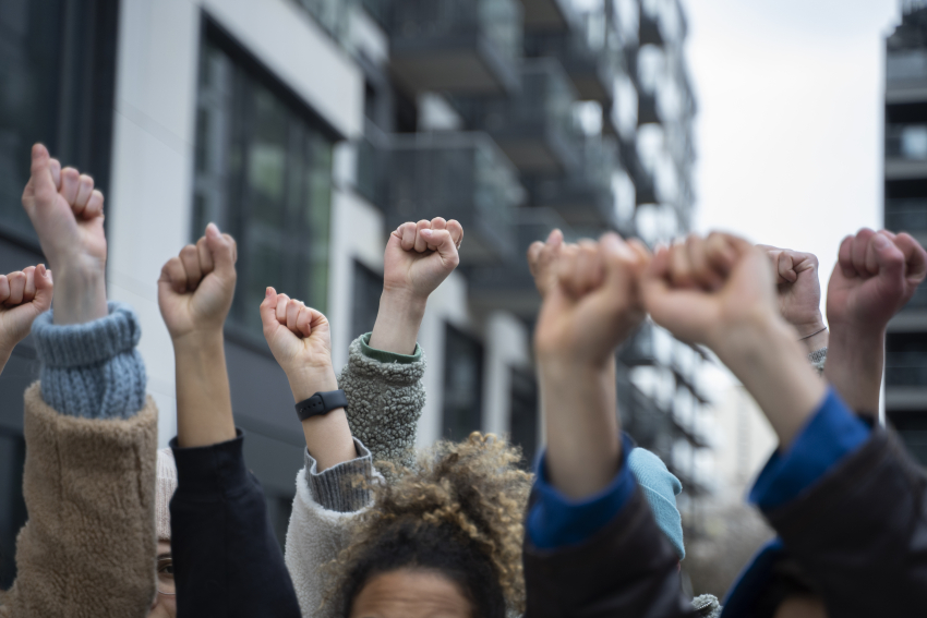 Новости Херсона: митинг против подземных школ, восемь лет за убийство и укус бешеной лисицы