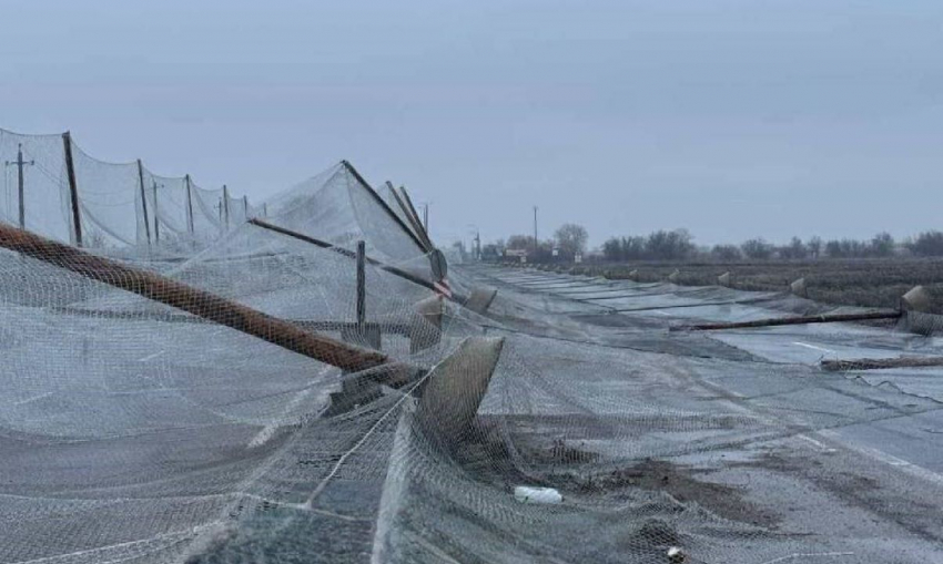На участке трассы Николаев-Херсон рухнул антидроновый коридор