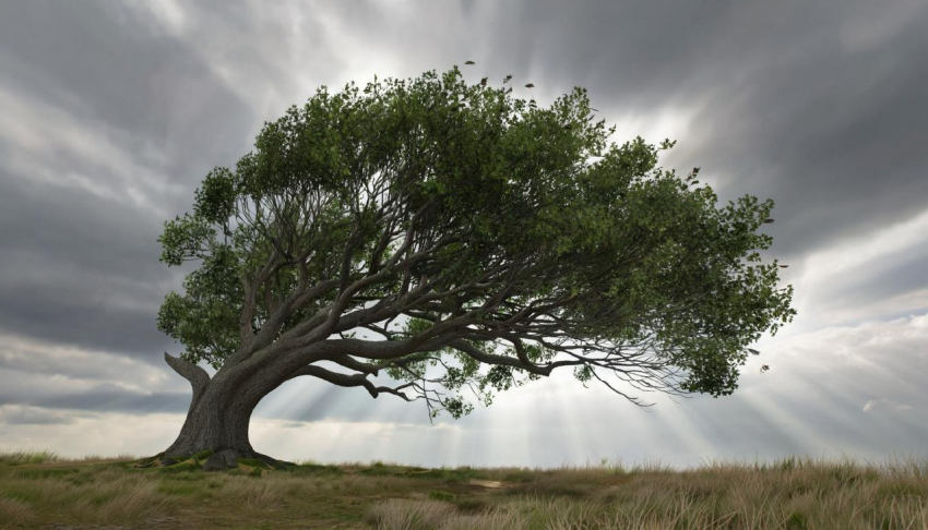 До 22 метров в секунду: в Херсонской области объявлено штормовое предупреждение