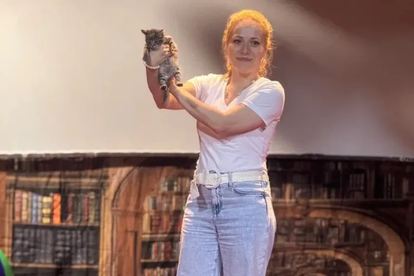 Спасённого из зоны СВО котёнка в театре Юрия Куклачёва назвали Херсоном