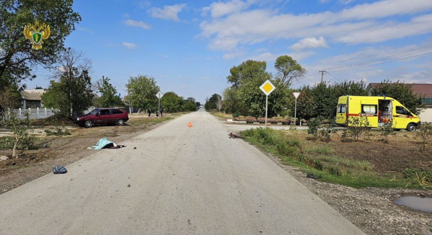 В Херсонской области водитель без прав насмерть сбил велосипедистку