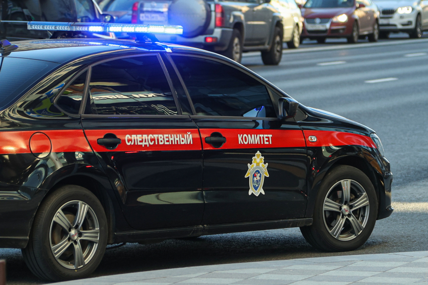  СК России расследует атаку ВСУ на детей в Великой Лепетихе