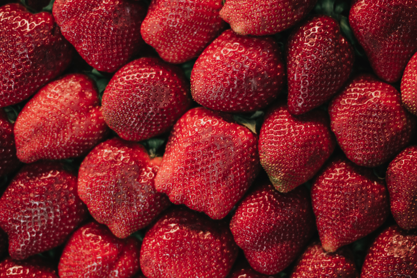 В Новокаховском округе начался сезон сбора клубники