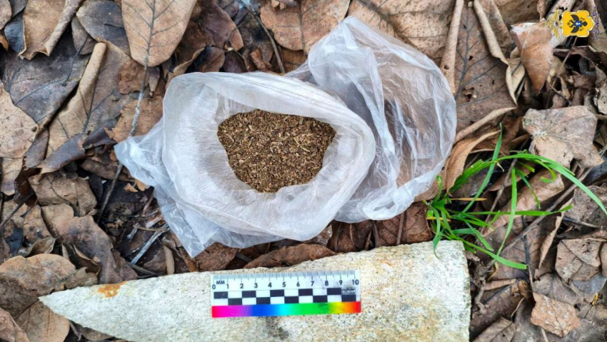 В Херсонской области мужчине грозит три года тюрьмы за хранение марихуаны