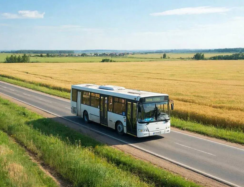 В Херсонской области появятся новые рейсы до Москвы и Ростова-на-Дону