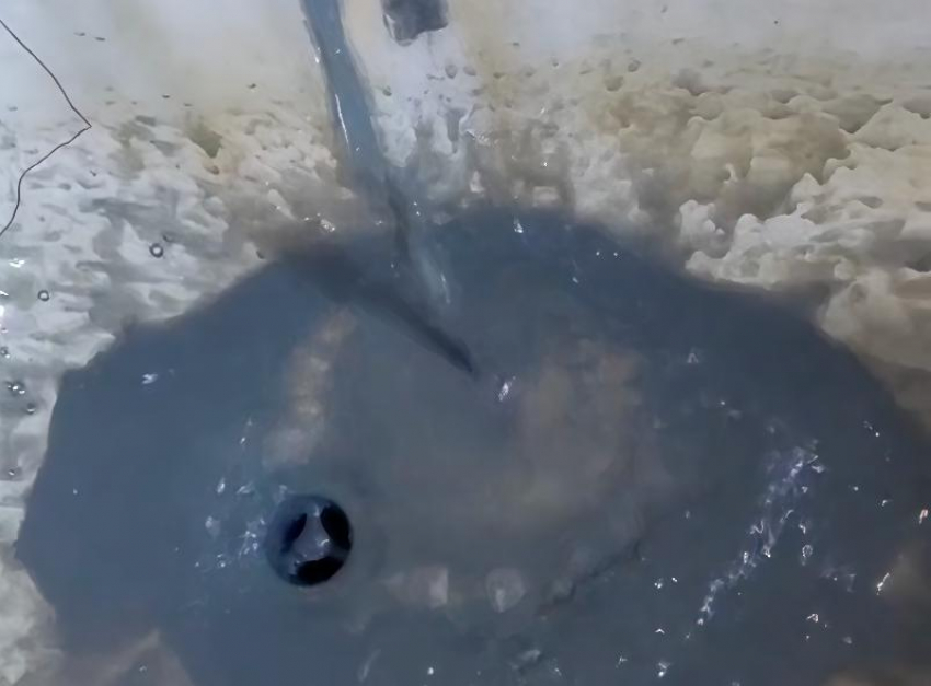 Вода с глиной льётся из кранов жителей Геническа