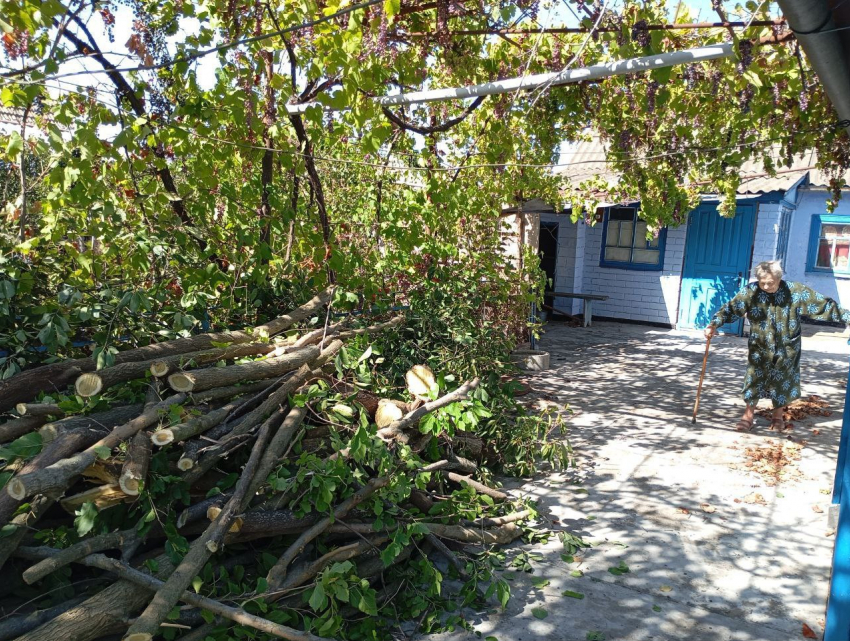 Дрова есть, сил нет: пенсионерам Каховки развезли помощь, но забыли о главном