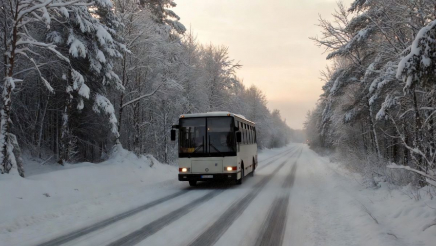 В Херсонской области запустят автобусный маршрут «Скадовск-Москва»