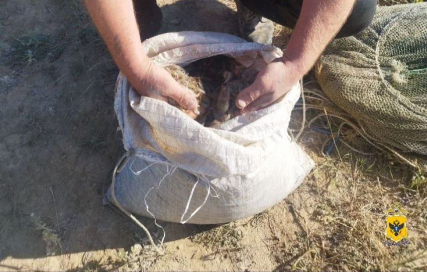 В Херсонской области браконьеры нанесли государству миллионный ущерб