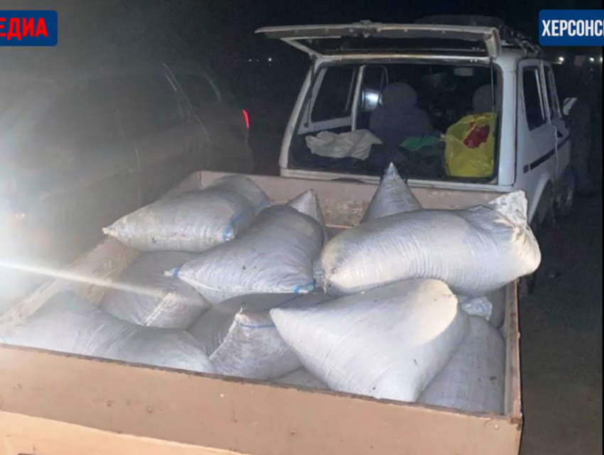 В Херсонской области задержали браконьеров с уловом креветок на 32,5 млн рублей