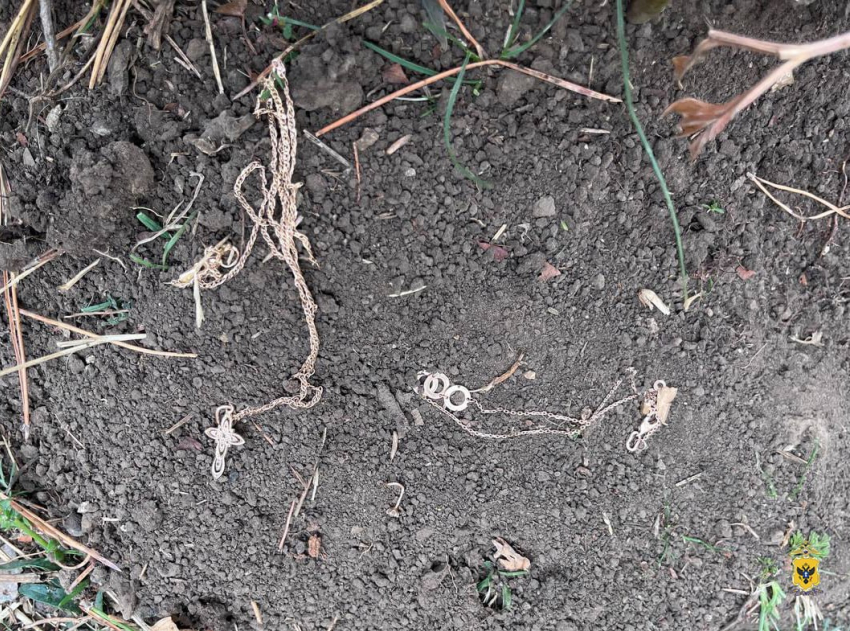 Херсонка украла золото у друга и закопала в поле