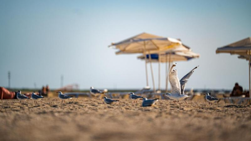 Кастюкевич: на благоустройство 18 пляжей Херсонщины потратят 340 миллионов рублей
