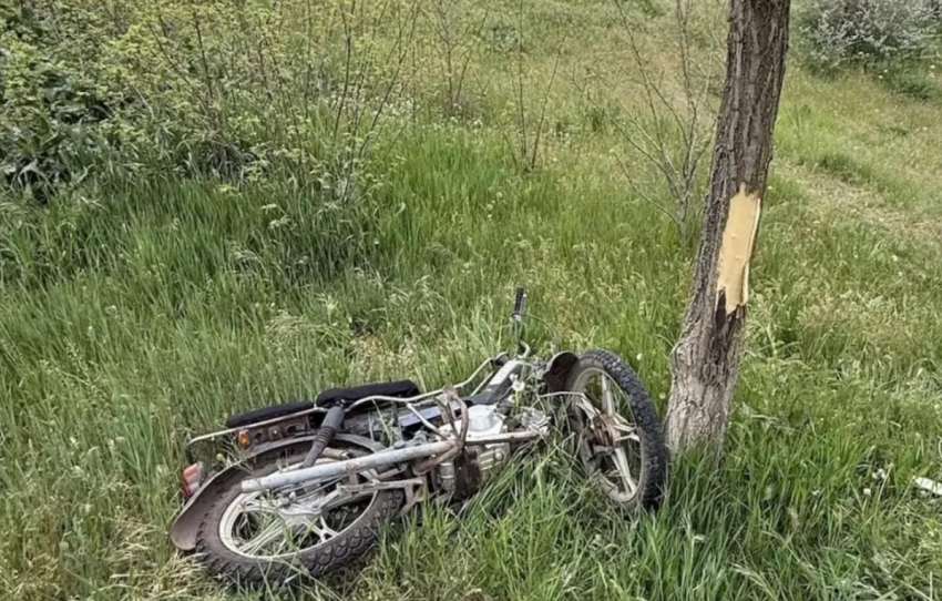 В Херсонской области мопедист врезался в дерево и погиб на месте аварии