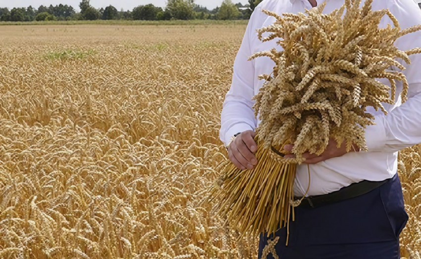 Херсонского фермера уличили в афере на 1 млн рублей 