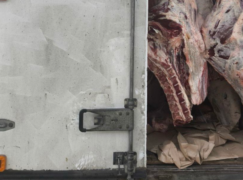 На Херсонщину пытались завезти небезопасные мясо, рыбу и сыр