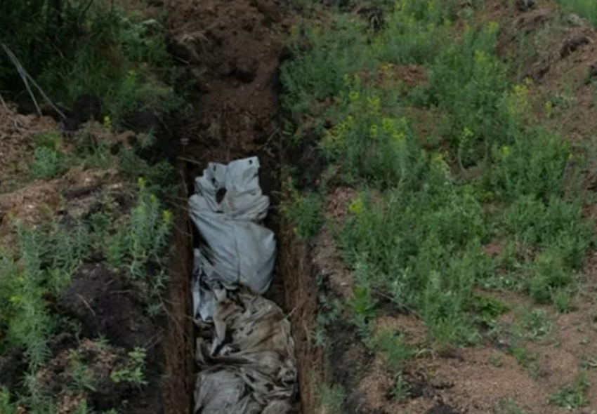 Новости СВО: бегство Зеленского, братские могилы и ад на левобережье Херсонщины