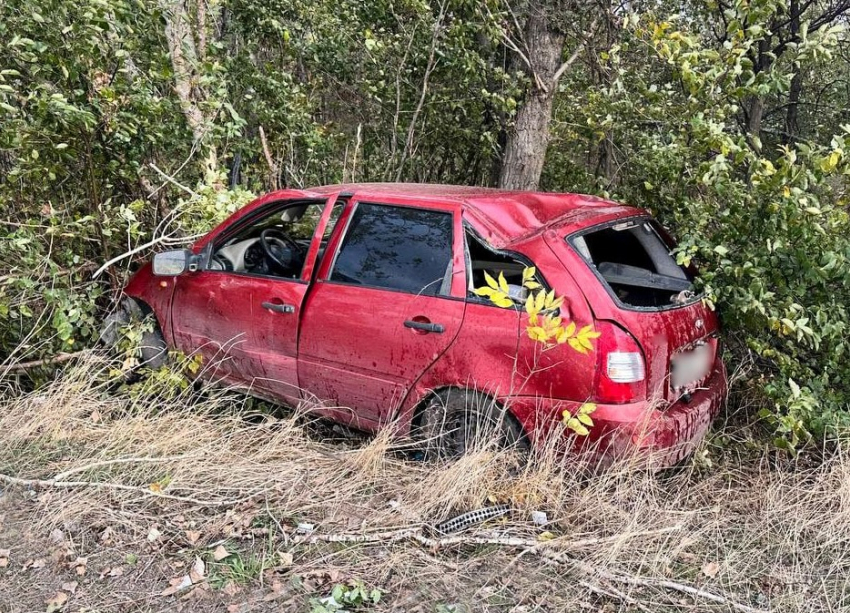 После столкновения с деревом в Скадовском округе водитель попал в больницу