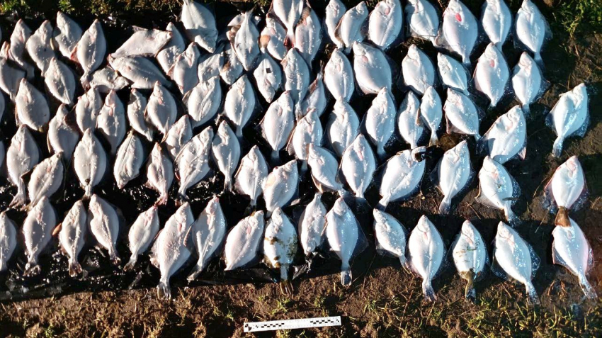 Житель Геническа нарвался на уголовное дело за вылов рыбы в Утлюкском лимане