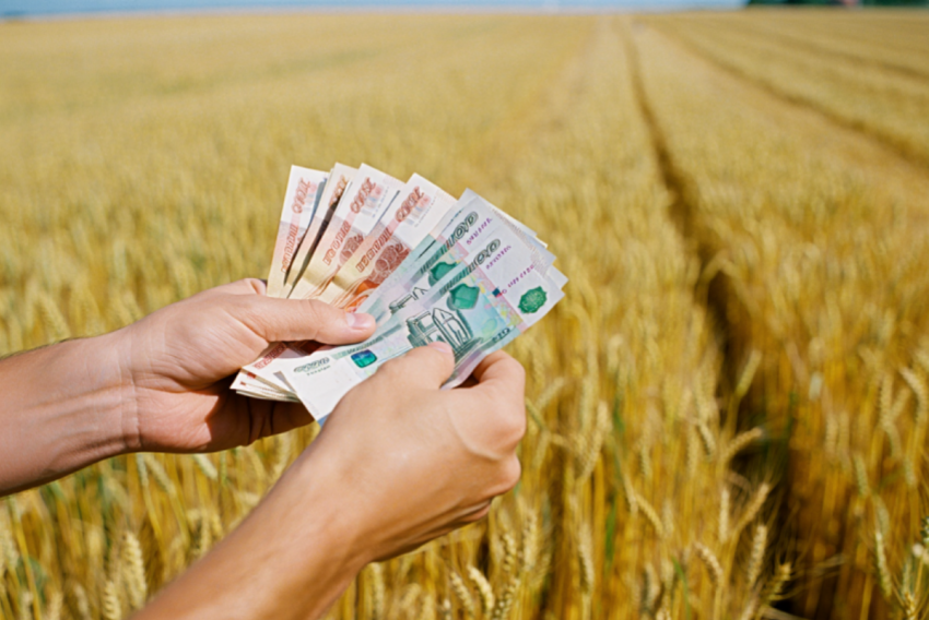 Херсонским аграриям наконец-то выплатили долги по зарплате
