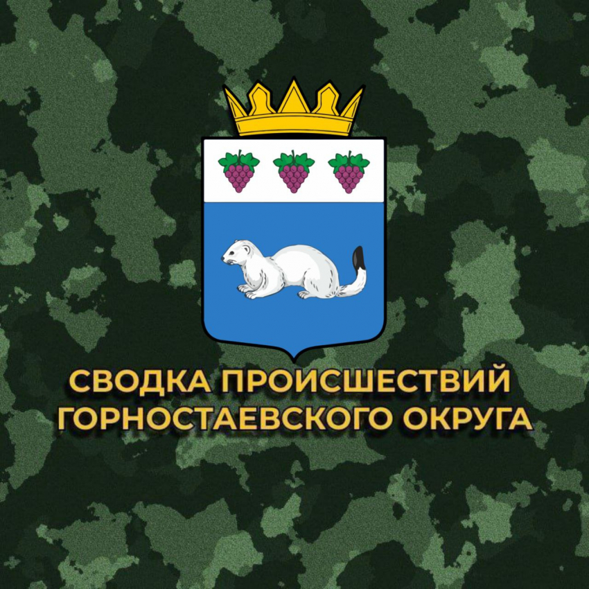 В Горностаевском округе Украина ранила 76-летнего старика
