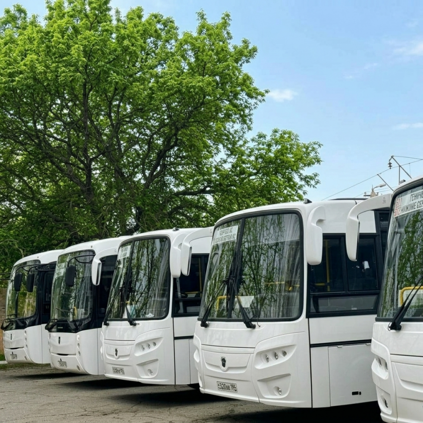 8 километров пешком: в Минтрансе ответили, почему единственный автобус в Стрелковое не доезжает до конца села