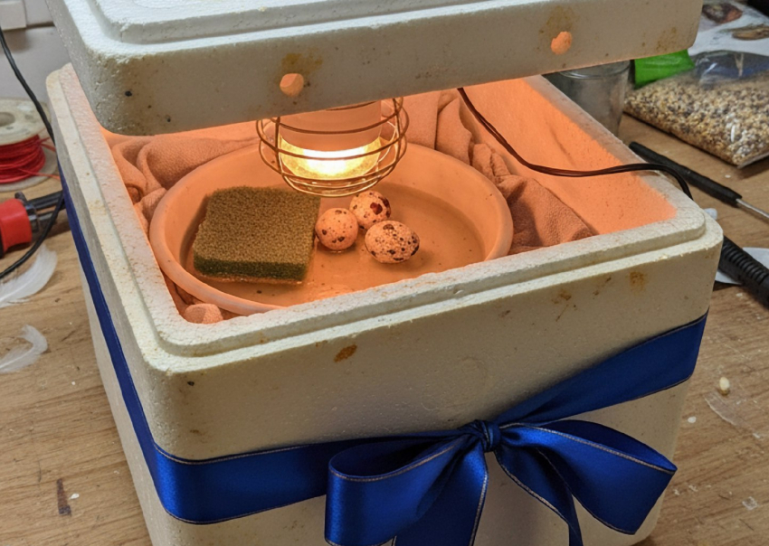 Омбудсмен Львова-Белова подарит херсонскому мальчику инкубатор на Новый год