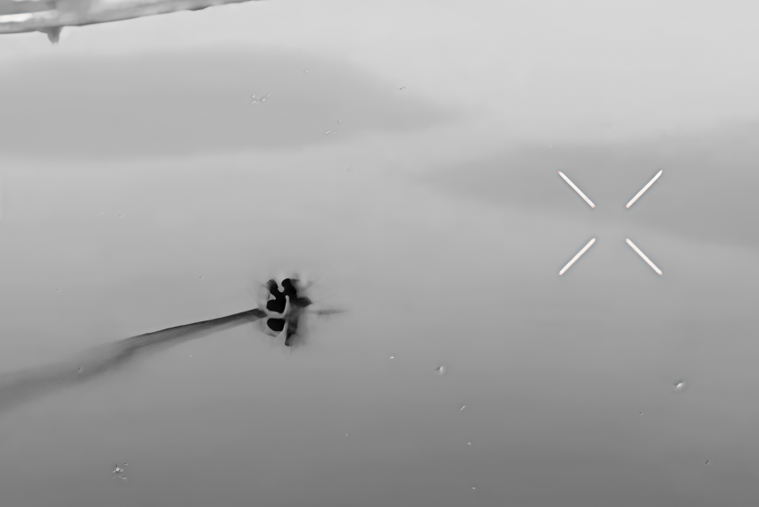 Миномётчики отправили на дно катер с диверсантами ВСУ на Днепре