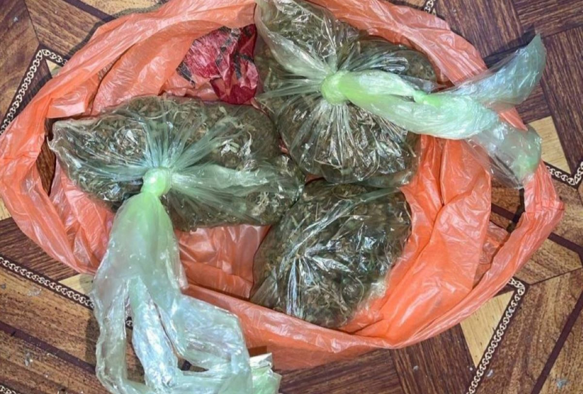 В Херсоне мужчина организовал сбыт дурман-травы