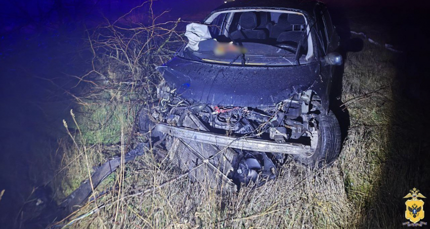 В Геническом округе пенсионер опрокинул «Рено» и попал в больницу