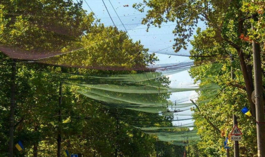 В Херсоне власти похитили 6,4 млн гривен на оборонных закупках