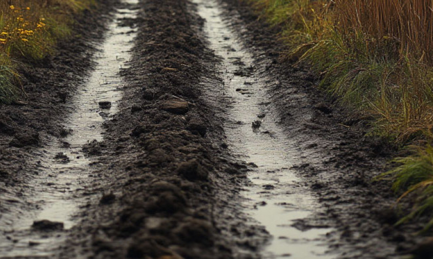 Спикер ОТГ «Днепр»: ВСУ надеются, что погода помешает наступлению ВС РФ