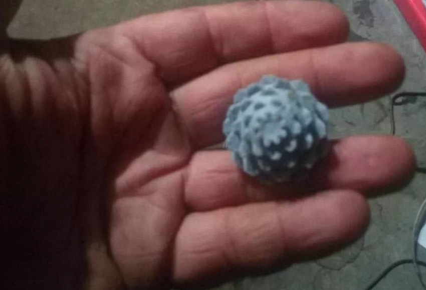 В Херсонской области ВСУ начали применять новые западные мины «шишки»