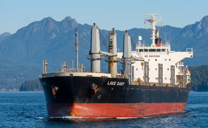 Украина потребовала от Израиля арестовать судно с «зерном из Херсонщины»