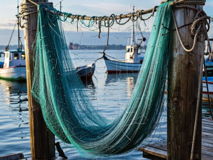 Херсон защитят от дронов при помощи старых французских рыболовных сетей